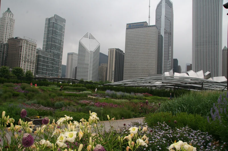 Lurie Garden with the Michigan Avenue and Randolph Street buildings beyond.