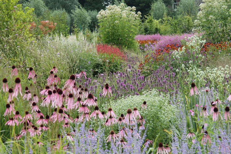 The Vlinderhof in summer, Máximapark, Utrecht.